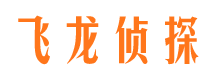 河东区侦探取证